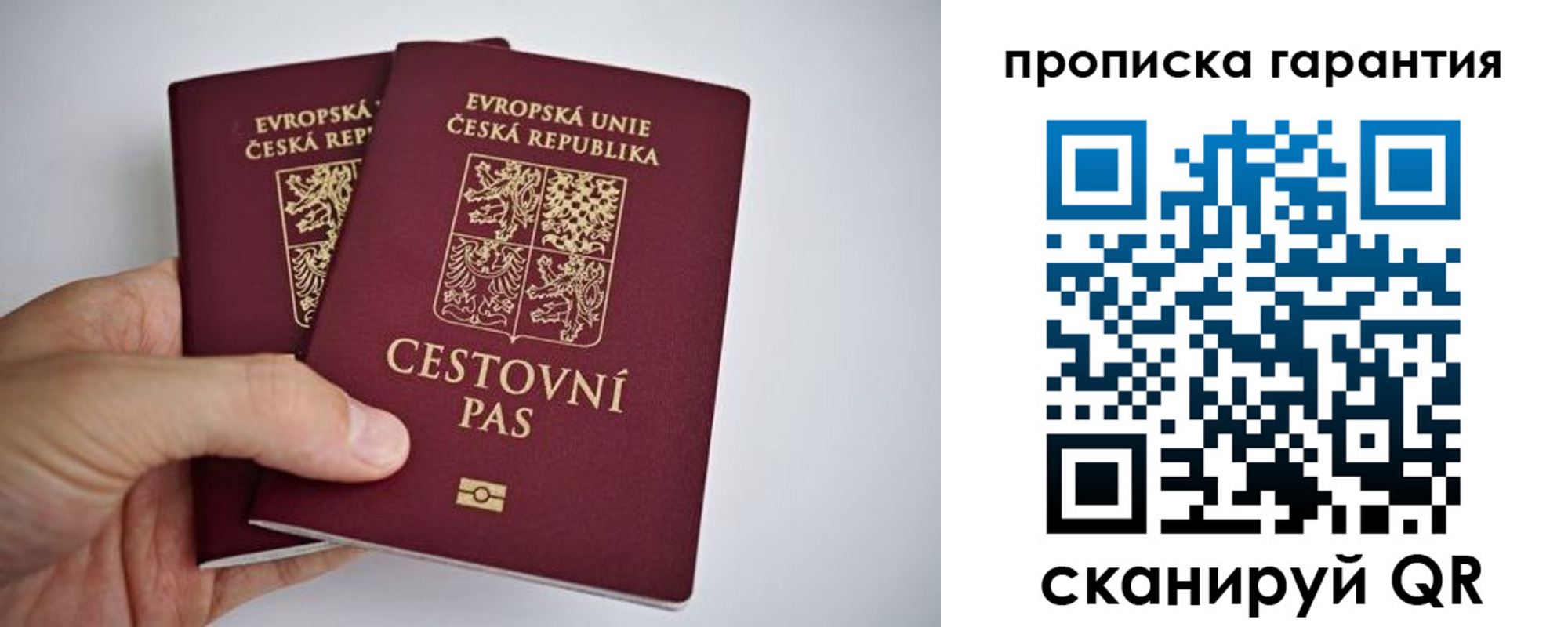 прописка в Борзе